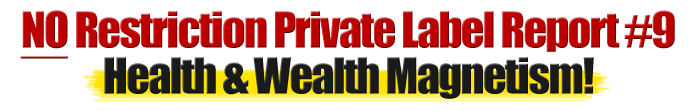No Restriction PLR Report #9 Health & Wealth Magnetism