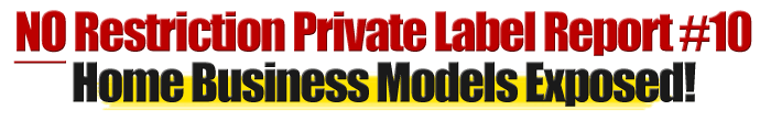 No Restriction PLR Report #10 Home Business Models Exposed!