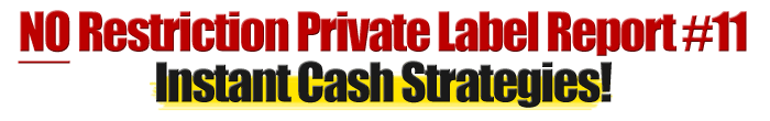 No Restriction PLR Report #11 Instant Cash Strategies