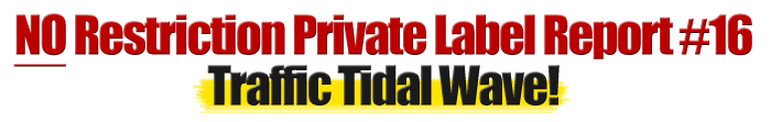 No Restriction PLR Report #16 Traffic Tidal Wave