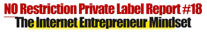 No Restriction PLR Report #18 The Unstoppable Internet Entrepreneur Minset